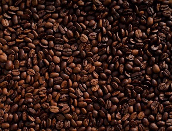 Cà phê 100% Robusta hạt H'LEO